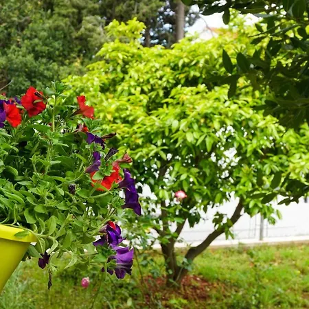 Apartman Nena Zára