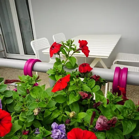 Nena Apartment