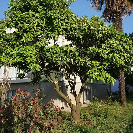 Nena Apartment *