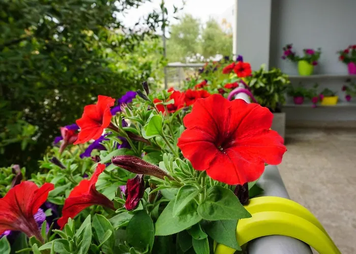 Апартаменты Nena