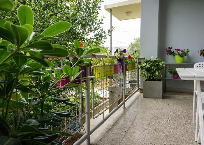 Nena 公寓 扎达尔