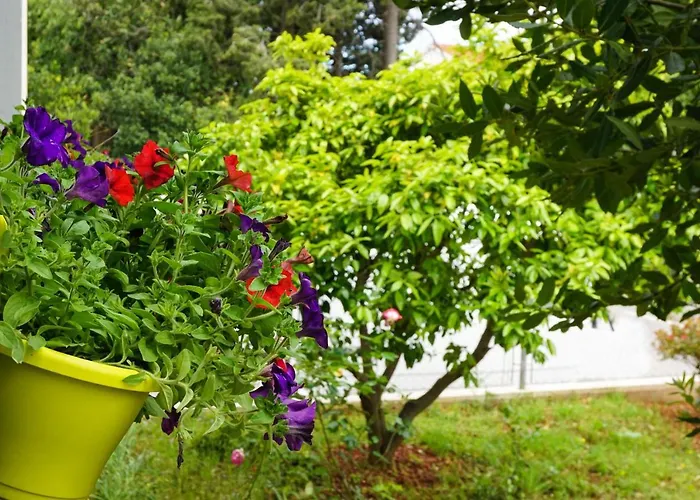 公寓 Nena 扎达尔